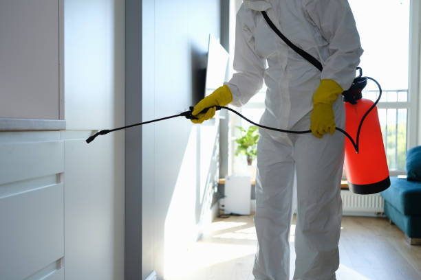 Best Post-Flood Mold Remediation in Avenal, CA
