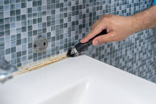 Best Basement Mold Remediation in Avenal, CA