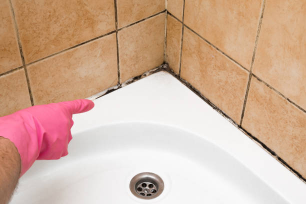 Best Mold Remediation for Specific Building Types in Avenal, CA